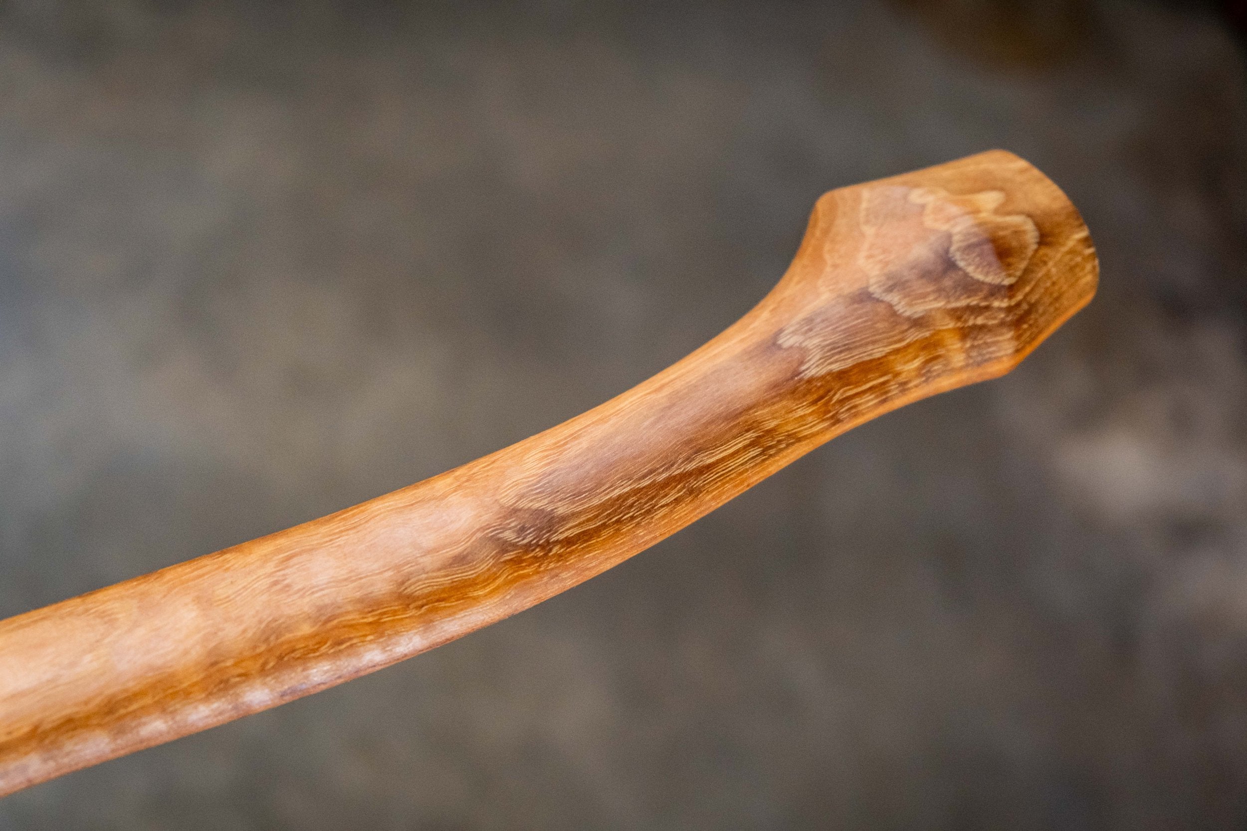 curly hickory palm swell