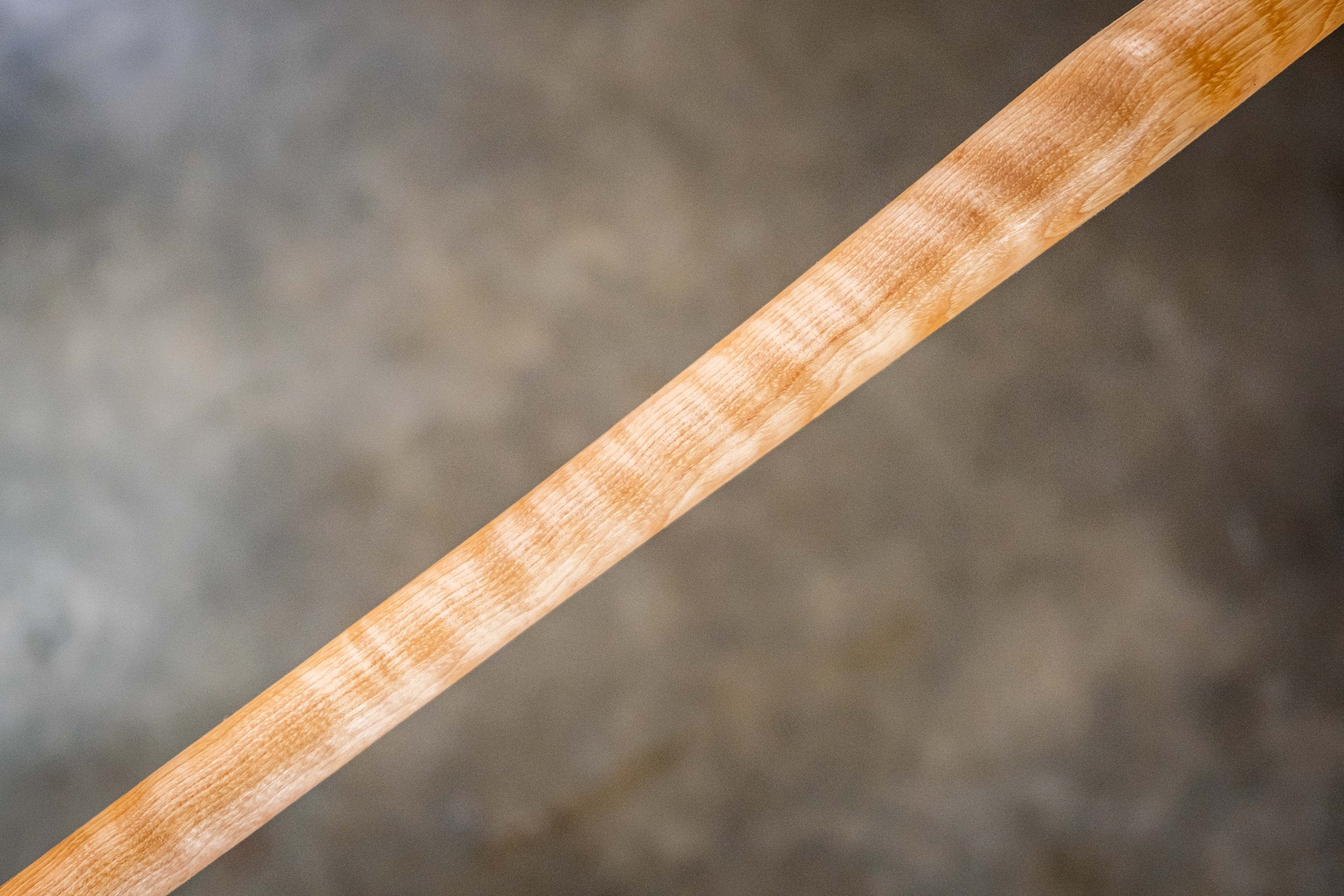 curly hickory handle