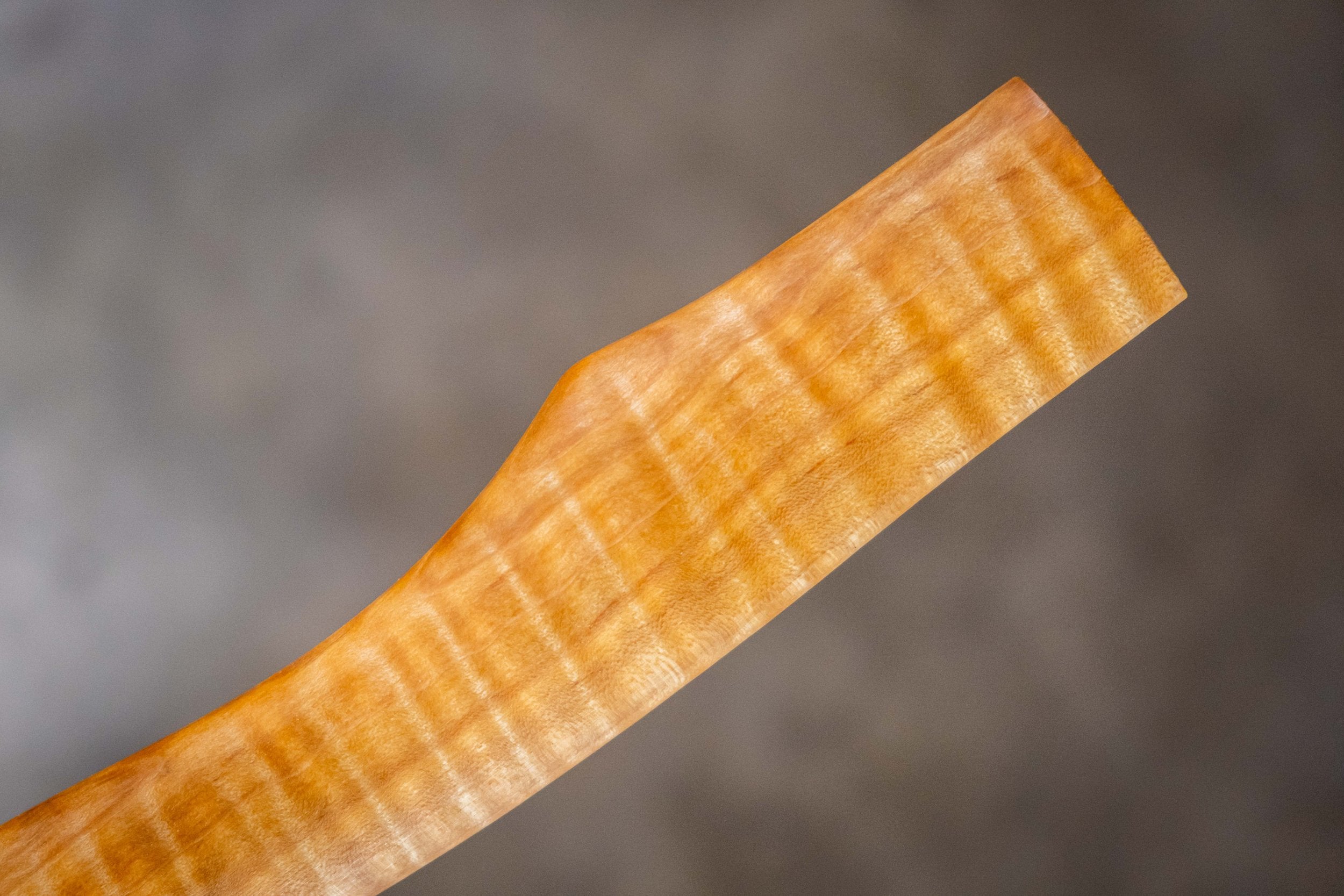 curly maple wood